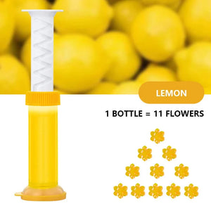 Gel Nettoyant WC en Fleur.