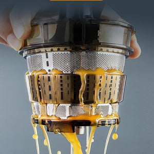 Extracteur de Jus de Fruits et Légumes à Grande Ouverture.